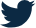 Twitter icon